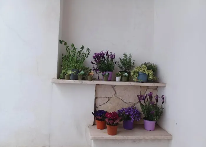 Casa Indipendente Pigneto
